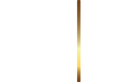 parallel railings logo